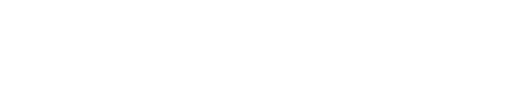 BC Racing logo