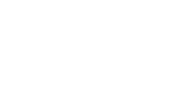 Magnaflow logo