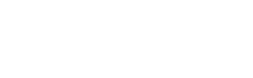 Optima logo